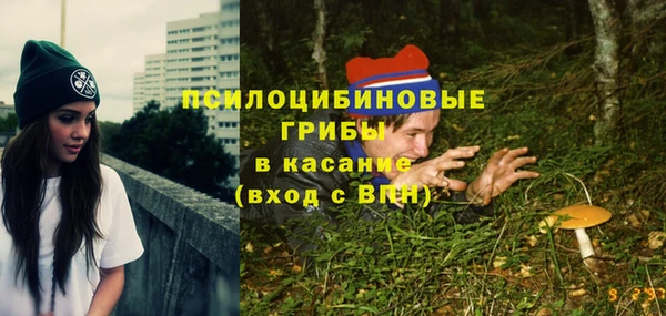 эйфоретик Надым